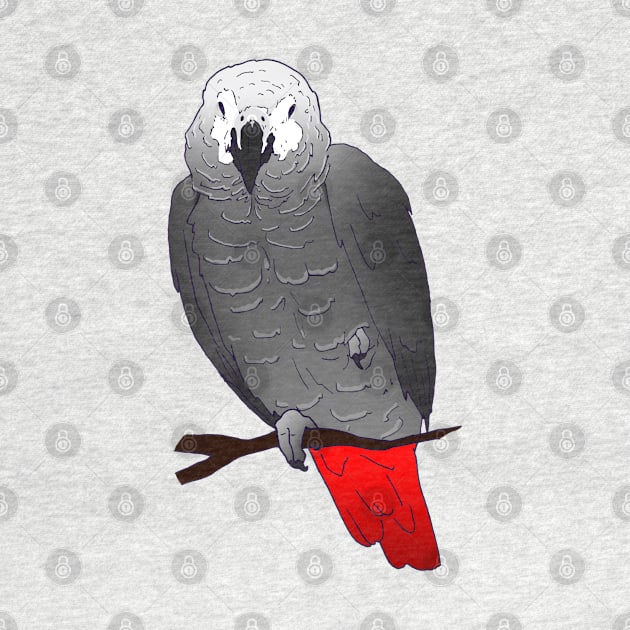 African Grey Parrot Perching and Sleeping on a Branch by Einstein Parrot